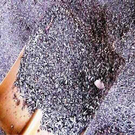 Cast Iron Boring