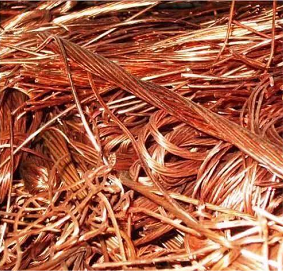Copper Malberry